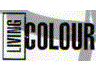 living color 1